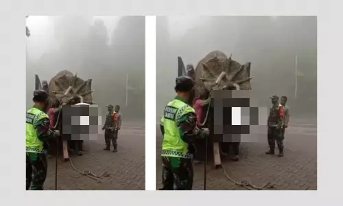 Video Of Dinosaur Puppet Falsely Shared As Inner Mongolian Monster