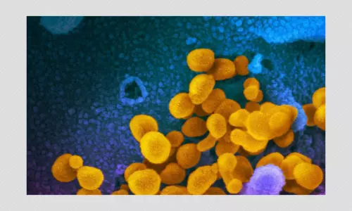 India Reports 20 Cases Of COVID-19 Mutant Strain From UK