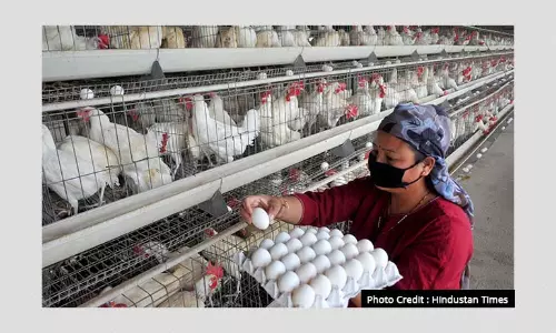 Explained: What Is Bird Flu? Is The Recent Outbreak Dangerous?