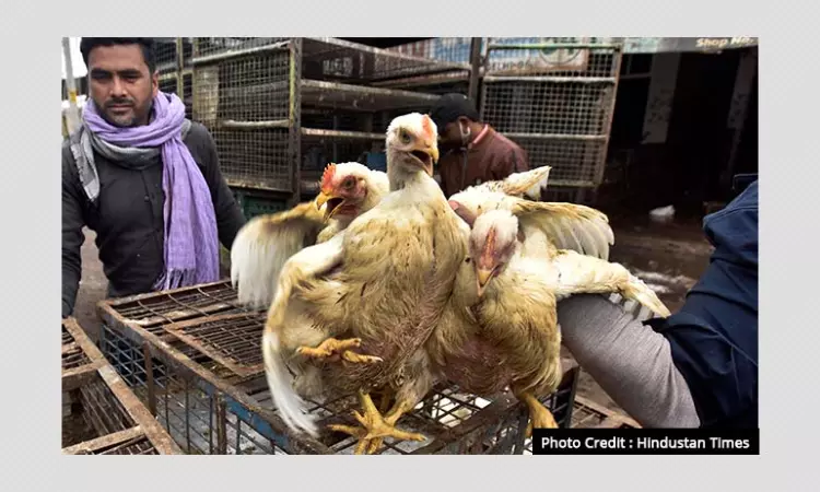 Bird Flu: Avoid Half-Boiled Eggs, Under-Cooked Meat, Says FSSAI