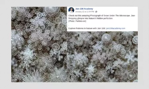 Artwork Falsely Shared As Snow Under A Microscope