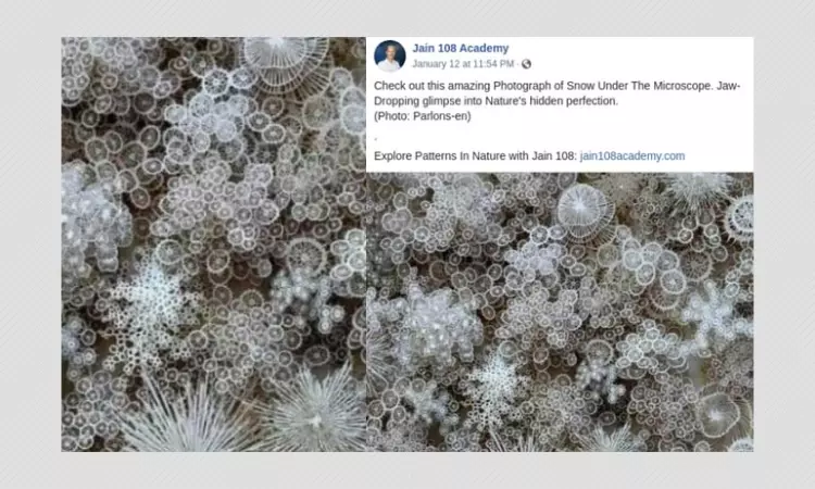 Artwork Falsely Shared As Snow Under A Microscope