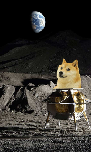 Dogecoin: A Literal Joke Thats Given 1300% Returns Year To Date