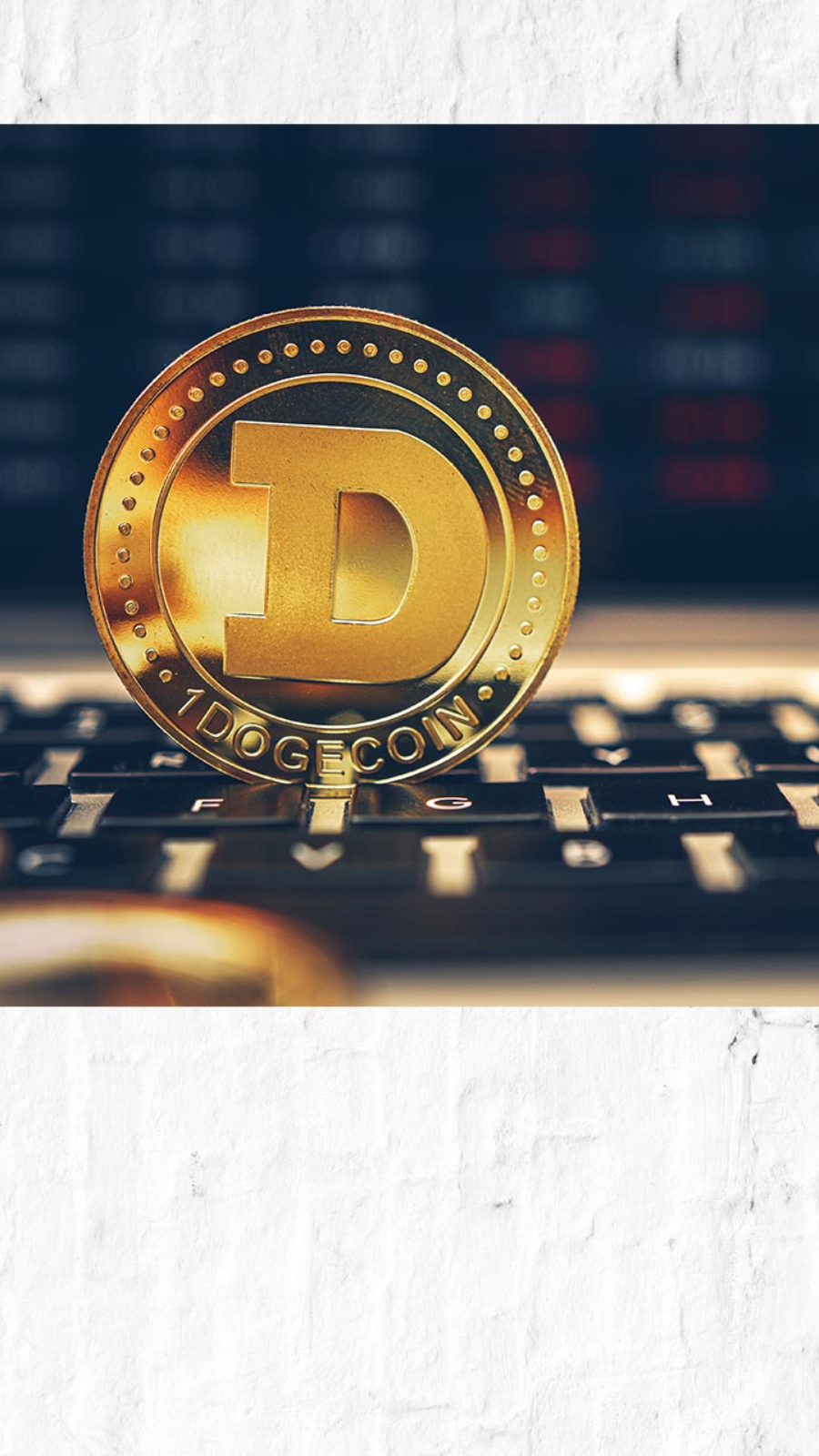 dogecoin tuesday 69b ytd