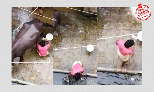 Hyderabad Milk Adulteration Incident Revived With Communal Claims