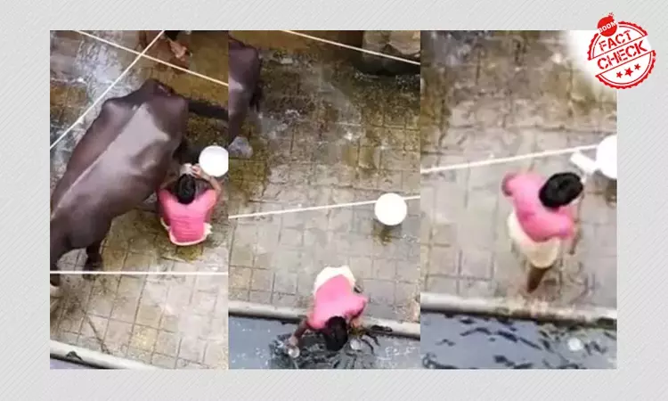 Hyderabad Milk Adulteration Incident Revived With Communal Claims