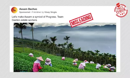 Congress Shares Photos From Taiwan Tea Garden As Assam