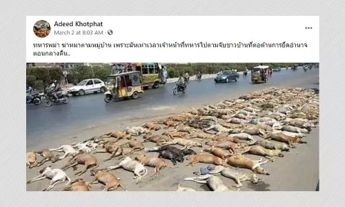 Photo Of A Dog Culling In Pakistan Shared Myanmar Junta Killing Dogs