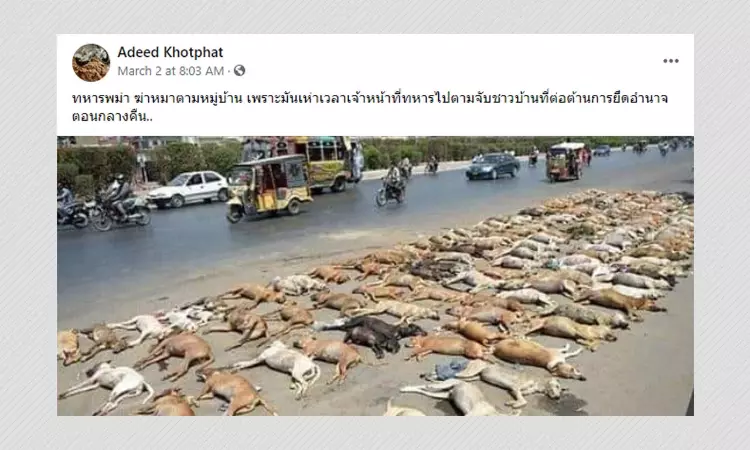 Photo Of A Dog Culling In Pakistan Shared Myanmar Junta Killing Dogs