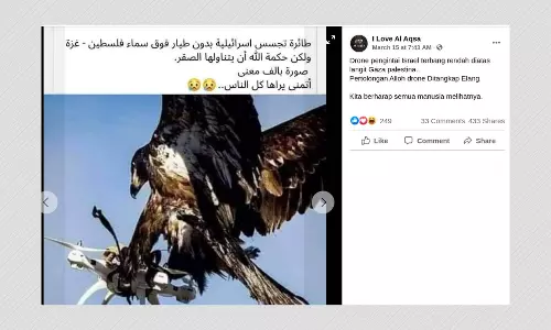 Photo From The Netherlands Shared As Eagle Catching Israeli Spy Drone