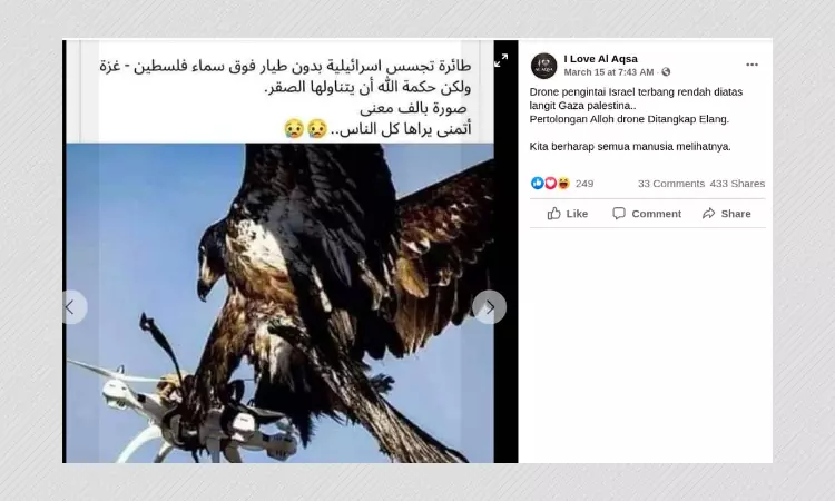 Photo From The Netherlands Shared As Eagle Catching Israeli Spy Drone