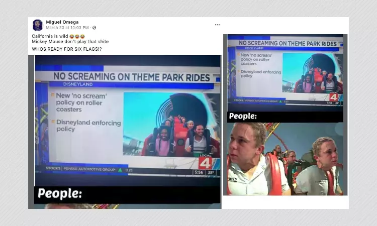 Has Disneyland Banned Screaming On Rides To Combat COVID-19? Not Really