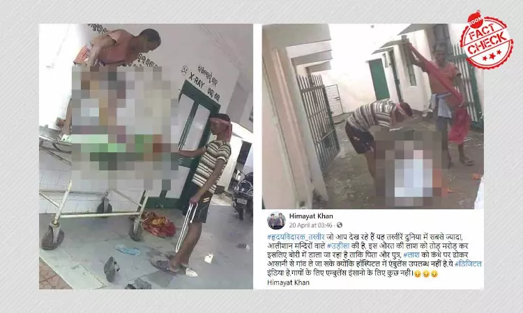 Image Of Womans Body Broken And Packed Revived Amid COVID-19 Crises