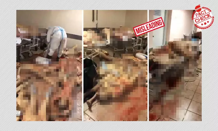 Gory Video Of Bodies Overflowing In A Morgue Not From India