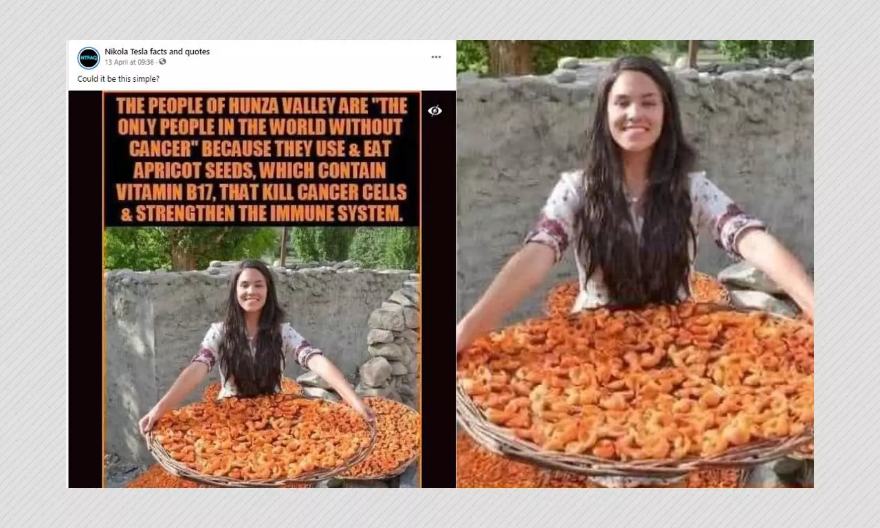 Myth About Apricot Seeds From Pakistans Hunza Valley Curing Cancer Viral