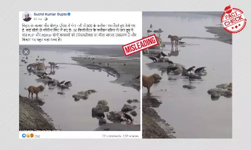 2015 Photos Of Corpses Floating In The Ganga Falsely Shared As Recent