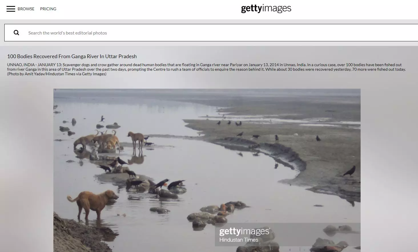 2015 Getty Images photo