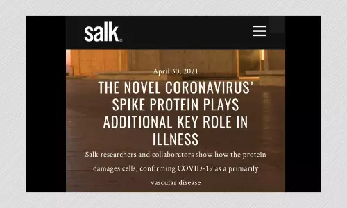 Study On SARS-CoV-2 Spike Protein Misrepresented To Stoke Vaccine Fear