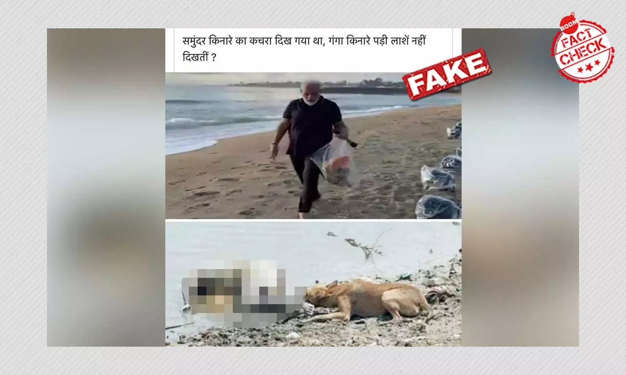 Disturbing Photo Of A Stray Dog Gnawing At A Human Body Is Not Recent