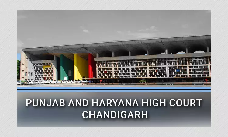 Punjab & Haryana HC To Decide If Live-In Couples Entitled to Protection