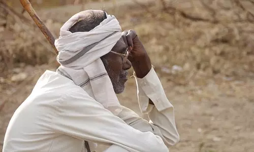 Nearly A Third Of All Farm Suicides In India In 2016 Were In Maharashtra: NCRB Data