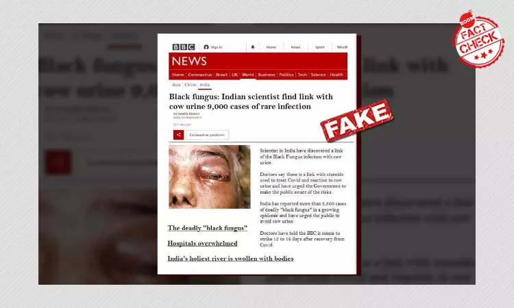 No, BBC Did Not Link Black Fungus To Cow Urine; Viral Image Is Fake