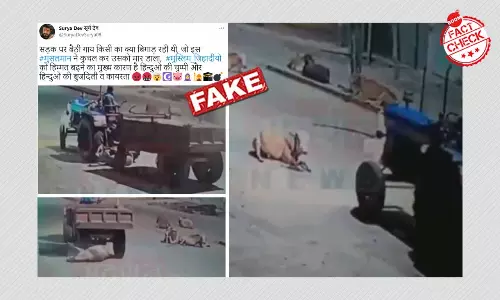 Viral Video Of Tractor Running Over A Cow Given False Communal Spin