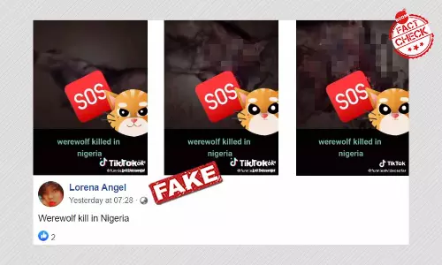 Werewolf Spotted In Nigeria? No, Thats An Artwork