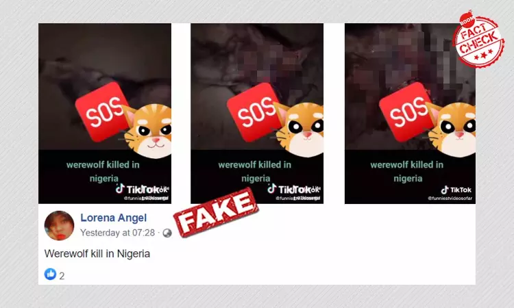 Werewolf Spotted In Nigeria? No, Thats An Artwork