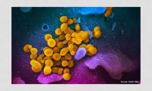 What Is New Variant Omicron And Can Existing Vaccines Provide Protection Against It?