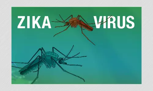 Zika Virus Returns To India: 14 Infected In Kerala