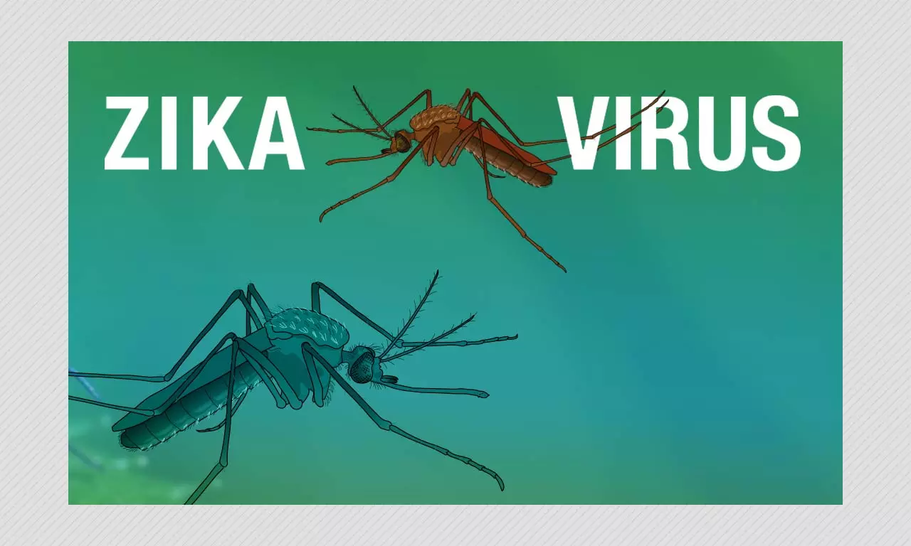 Zika Virus Returns To India: 14 Infected In Kerala