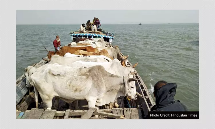 Assam Cow Bill: No Beef Sale in Hindus, Sikh, Jain Areas