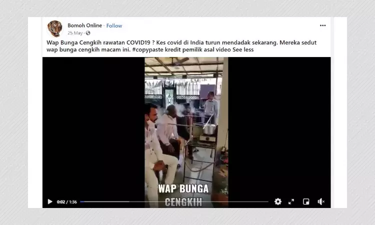 Clove Vapour Inhalation Cannot Cure COVID-19, Experts Say