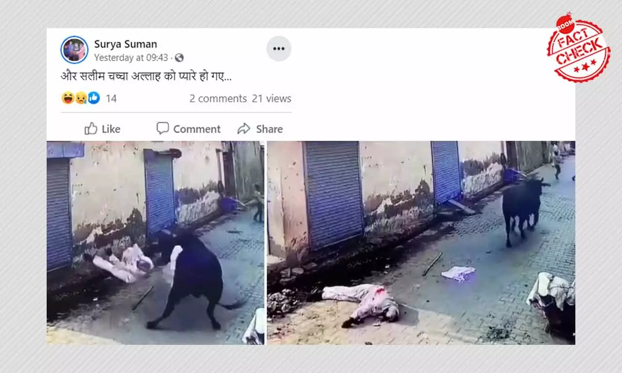 Video Of Haryana Man Killed By Stray Bull Shared With False Communal Spin