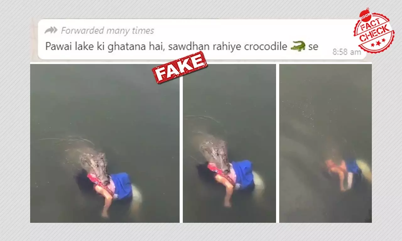 Video Of A Crocodile Killing A Woman In Mexico Falsely Viral As India