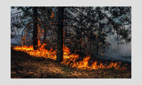 Code Red For Humanity: UN SG On Latest Climate Change Report