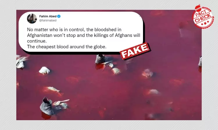 Old Image Of Symbolic Protest Viral As Kabul Blast