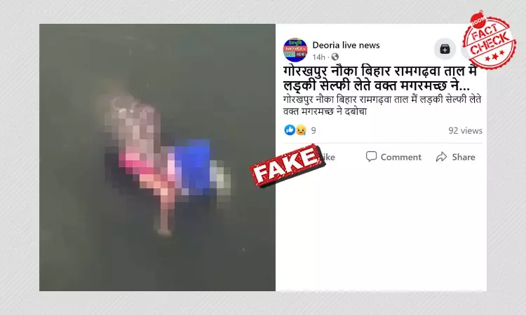 Video Of A Crocodile Killing A Woman In Mexico Falsely Shared As India