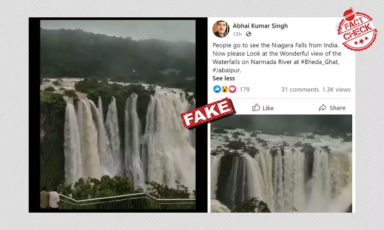 Video Of Jog Falls In Karnataka Revived As WaterFall From MP, Kerala