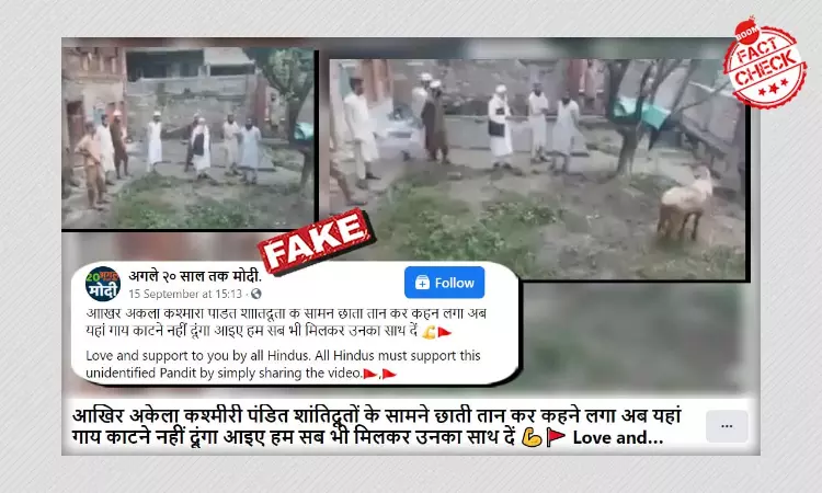 No, This Is Not A Kashmiri Pandit Objecting To Cow Slaughter In Kashmir