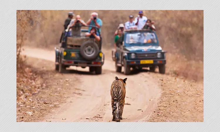 Tiger reserve in Madhya Pradesh