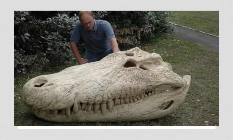 Prop Created For TV Series Passed Off As Prehistoric Crocodile Skull