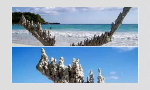 These Sand Castles Are Made By An Artist, Not Natural Formations