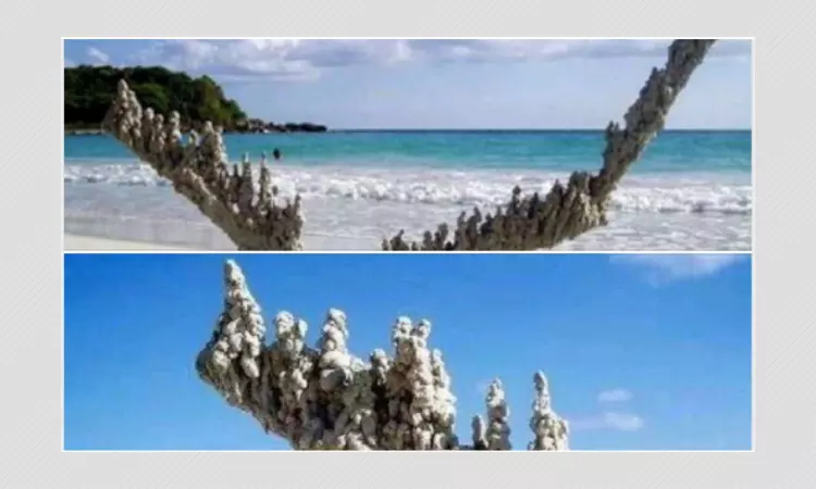 These Sand Castles Are Made By An Artist, Not Natural Formations