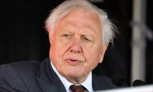 David Attenborough Did Not Make The Black And Red Ants In A Jar Remark