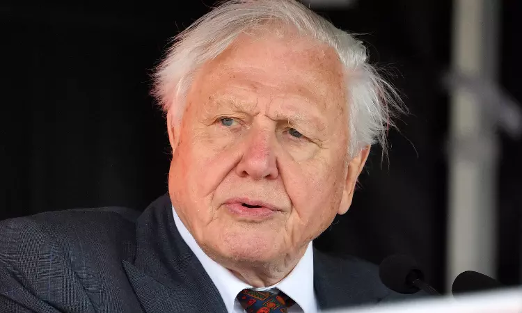 David Attenborough Did Not Make The Black And Red Ants In A Jar Remark