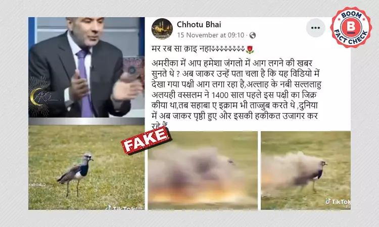 VFX Video Of Bird Falsely Linked To Forest Fires