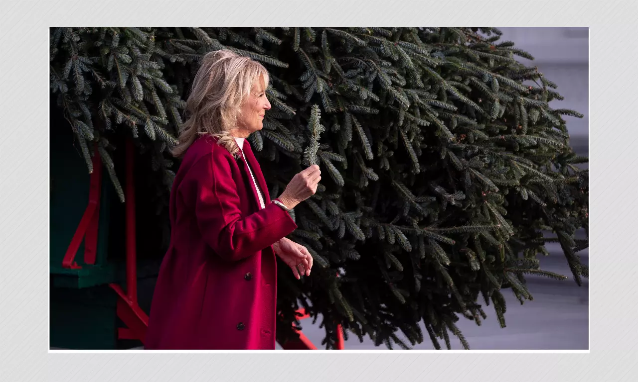 Was Jill Biden Present At White House Christmas Tree Arrival?
