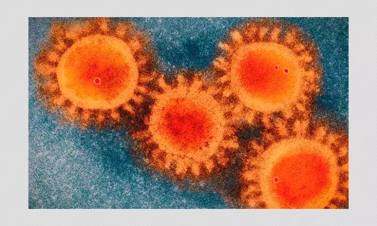 New COVID Variant Omicron Found In South Africa Raises Concern